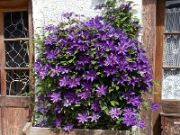 Rochers des Rayes 1 June 2014